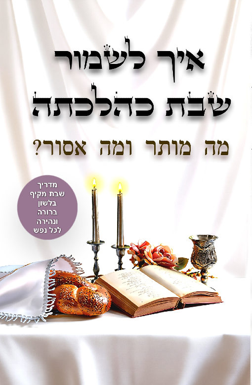ספר איך לשמור שבת כהלכה